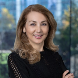 Photo of Sepideh Afshar, PhD, Senior Director, Head of Peptide Therapeutics, Genentech Inc.