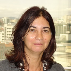 Photo of Raquel Aires-Barros, PhD, Professor, Bioengineering, Instituto Superior TÃ©cnico