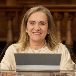 Photo of Maria Jose Alonso, PhD, Professor, Biopharmaceutics & Pharmaceutical Technology, University of Santiago de Compostela