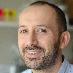 Photo of Alessandro Angelini, PhD, Professor, Department of Molecular Sciences and Nanosystems, European Center for Living, Technology Caâ€™ Foscari University of Venice , Associate Professor , Ca Foscari University of Venice