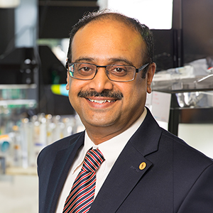 Photo of Sathy Balu-Iyer, PhD, Professor, Pharmaceutical Sciences, SUNY Buffalo