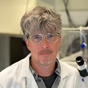 Photo of Greg Boel, PhD, Principal Investigator, CNRS , Principal Investigator , UMR8261 , CNRS / UniversitÃ© Paris CitÃ©