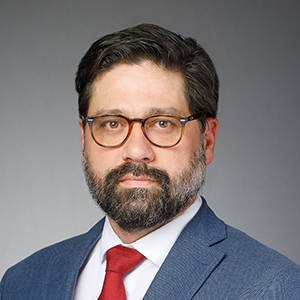 Photo of William Bracamonte, MD, PhD, Clinical Professor, Rheumatology, University of Wisconsin , Professor , Rheumatology , University of Wisconsin