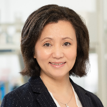 Photo of Yan Chen, PhD, Founder & CEO, Elpis Biopharmaceuticals