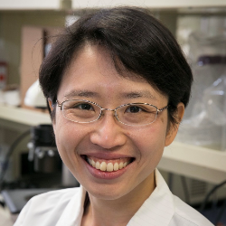 Photo of Yvonne Y. Chen, PhD, Professor, Microbiology & Immunology & Molecular Genetics, University of California, Los Angeles , Professor , Microbiology & Immunology & Molecular Genetics , University of California, Los Angeles