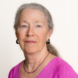 Photo of Linda Gaines, PhD, Transportation Systems Analyst, Energy Systems, Argonne National Laboratory , Transportation Systems Analyst , Energy Systems , Argonne Natl Lab