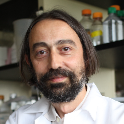 Photo of Adolfo Garcia-Sastre, PhD, Professor & Director, Global Health & Emerging Pathogens Institute, Icahn School of Medicine at Mount Sinai