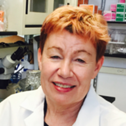 Photo of Claudia Gravekamp, Associate Professor, Microbiology & Immunology, Albert Einstein College of Medicine , Assoc Prof , Microbiology & Immunolgy , Albert Einstein College of Medicine