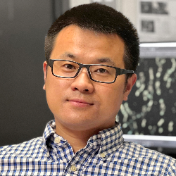 Photo of Ying S Hu, PhD, Assistant Professor, Chemistry and Biomedical Engineering, University of Illinois Cancer Center , Assistant Professor , Chemistry and Biomedical Engineering , University of Illinois Cancer Center