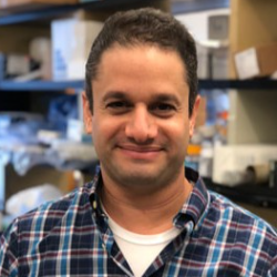 Photo of Etai Jacob, PhD, Head of Applied Data Science and AI, Oncology R&D, AstraZeneca , Head of Applied Data Science and AI, Oncology R&D , AstraZeneca