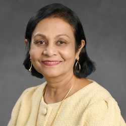 Photo of Judy Jeevarajan, PhD, Vice President and Executive Director, Electrochemical Safety Research Institute, UL Research Institutes , Research Director Electrochemical Safety , Electrochemical Safety , UL Research Institutes