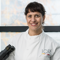 Photo of Astero Klampatsa, PhD, Group Leader, Cancer Therapeutics, Institute of Cancer Research