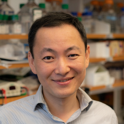 Photo of Li Li, PhD, Assistant Professor, RNA Therapeutics Institute, University of Massachusetts Chan Medical School , Assistant Professor , RNA Therapeutics Institute , UMass Chan Medical School