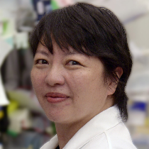 Photo of Theresa T. Lu, PhD, Professor, Microbiology & Immunology, Hospital for Special Surgery and Weill Cornell Medicine