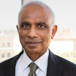 Photo of Arumugam Manthiram, PhD, George T. and Gladys H. Abell Endowed Chair of Engineering, Mechanical Engineering, University of Texas at Austin , Professor , Mechanical Engineering , Univ of Texas Austin