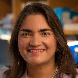 Photo of Marcela V. Maus, MD, PhD, Associate Professor, Medicine; Director, Cellular Immunotherapy, Massachusetts General Hospital , Associate Professor, Medicine, & Director , Cellular Immunotherapy , Massachusetts General Hospital