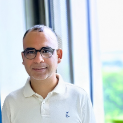 Photo of Tedjani Mesbahi, PhD, Full Professor, ICube-CNRS Laboratory, INSA Strasbourg, France , Full Prof , ICube-CNRS Lab , INSA Strasbourg