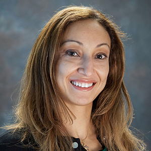 Photo of Rana Mohtadi, PhD, Senior Principal Scientist, Materials Research, Toyota Research Institute of North America , Senior Principal Scientist , Materials Research , Toyota Research Institute of N America