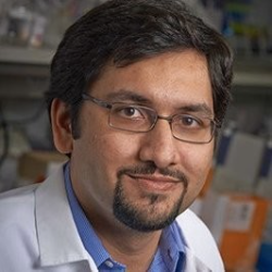 Photo of Muhammed Murtaza, MBBS, PhD, Visiting Associate Professor, Surgery/Center for Human Genomics and Precision Medicine, University of Wisconsin-Madison