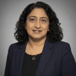 Photo of Rekha Paleyanda PhD, Partner, Rising Tide Strategies LLC