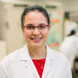 Photo of Robin Patel, MD, D(ABMM), FIDSA, FACP, F(AAM), Elizabeth P. and Robert E. Allen Professor of Individualized Medicine; Director, Infectious Diseases Research Laboratory; Professor of Medicine and Microbiology, Co-Director, Bacteriology Laboratory; Vice Chair of Education, Department of Laboratory Medicine and Pathology, Mayo Clinic , Prof Microbiology & Prof Medicine , Laboratory Medicine and Pathology , Mayo Clinic