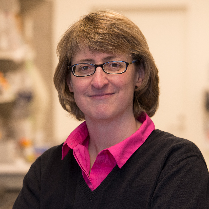 Photo of Amanda Paulovich, MD, PhD, Professor and Aven Foundation Endowed Chair; Director, CLIA Targeted Proteomic Laboratory, Fred Hutchinson Cancer Research Center; Director, Clinical Research Proteomics Platform, Brotman Baty Institute for Precision Medicine; Professor, Medicine, University of Washington School of Medicine