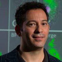 Photo of Yuval Rinkevich, PhD, Group Leader, Regenerative Biology & Medicine Institute (RBM), Helmholtz Zentrum, Munich, Germany