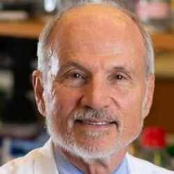 Photo of Lary Robinson, MD, Thoracic Oncologist, Moffitt Cancer Center , Thoracic Surgical Oncologist , Moffitt Cancer Center