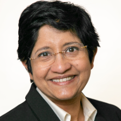 Photo of Kinkini Roy, PhD, Associate Director, Drug Product Development, Aviceda Therapeutics , Associate Director , Drug Product Development , Aviceda Therapeutics