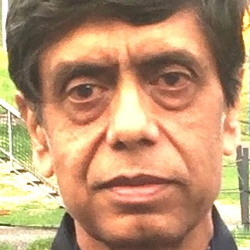Photo of Gautam Sanyal, PhD, Principal Consultant, Vaccine Analytics, LLC , Principal Consultant , Vaccine Analytics, LLC