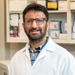 Photo of Aejaz Sayeed, PhD, Associate Professor, Cancer Biology, Baruch S. Blumberg Institute , Associate Professor , Cancer Biology , Baruch S. Blumberg Institute