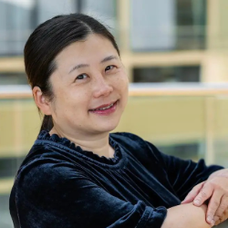 Photo of Fei Shen, PhD, Managing Director, Boehringer Ingelheim Venture Fund