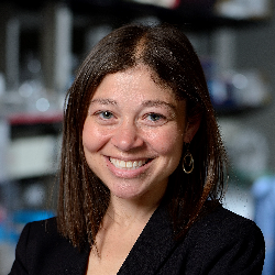 Photo of Jamie B. Spangler, PhD, Associate Professor, Biomedical and Chemical & Biomolecular Engineering, Johns Hopkins University , Associate Professor , Biomedical Engineering and Chemical & Biomolecular Engineering , Johns Hopkins University