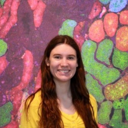 Photo of Brooke Tam, PhD,  Process Engineer, Lead, Cell Culture and Digital Twins, Sanofi , Process Engineer III , Sanofi Grp