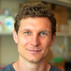 Photo of Michael Traxlmayr, PhD, Group Leader, CD Laboratory for Next-Generation CAR T Cells, University of Natural Resources & Life Sciences , Group leader , CD Laboratory for Next Generation CAR T Cells , Univ of Natural Resources & Life Sciences