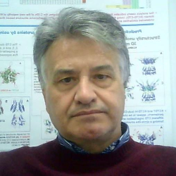 Photo of Luigi Vitagliano, PhD, Research Director, Institute of Biostructure and Bioimaging, Department of Biomedical Science, National Research Council Italy , Research Director , Institute of Biostructures and Bioimaging , National Research Council Italy