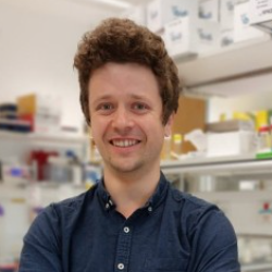 Photo of Joseph Watson, PhD, Postdoctoral Fellow, Institute for Protein Design, University of Washington , Postdoctoral Fellow , Institute for Protein Design