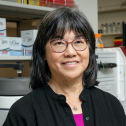 Photo of Anna M. Wu, PhD, Chair and Professor, Immunology & Theranostics, Center for Theranostic Studies, City of Hope , Chair and Professor , Immunology & Theranostics , Beckman Research Institute of City of Hope