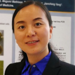 Photo of Lina Yang, PhD, Principal Scientist, Data Science and Digital Health, Johnson & Johnson Innovative Medicine , Principal Scientist , Data Science & Digital Health , Johnson & Johnson