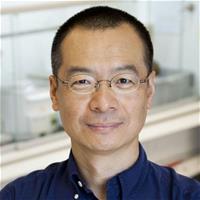 Photo of Sunny Zhou, PhD, Professor, Chemistry & Chemical Biology, Northeastern University , Professor , Chemistry & Chemical Biology , Northeastern University